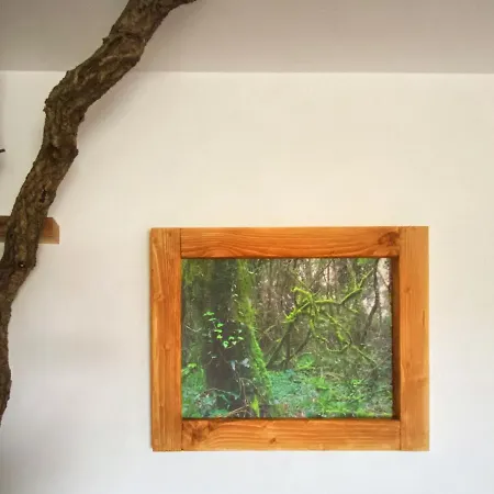 Quercus